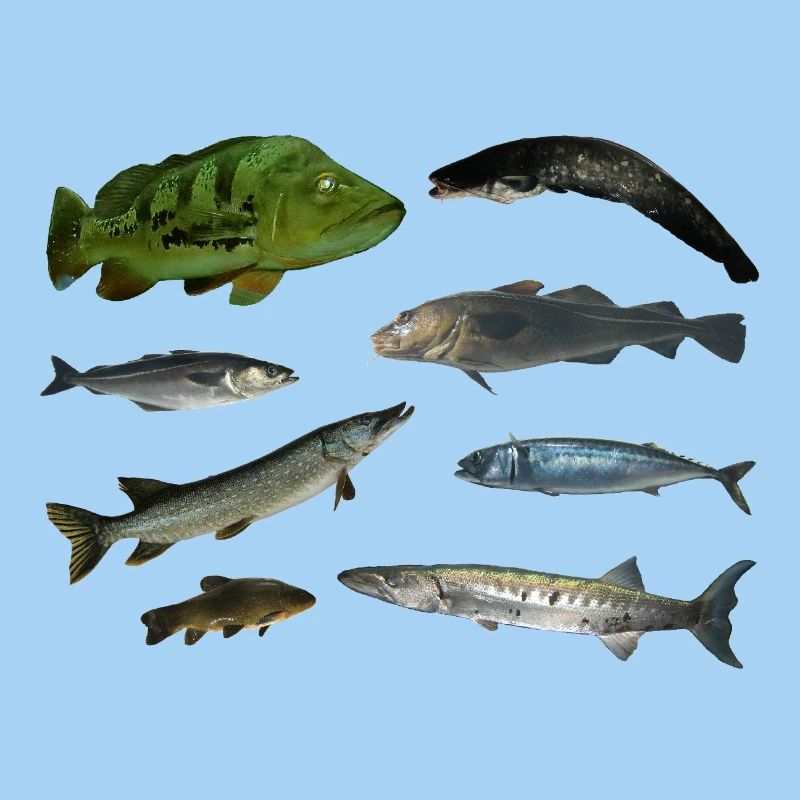 Pisces