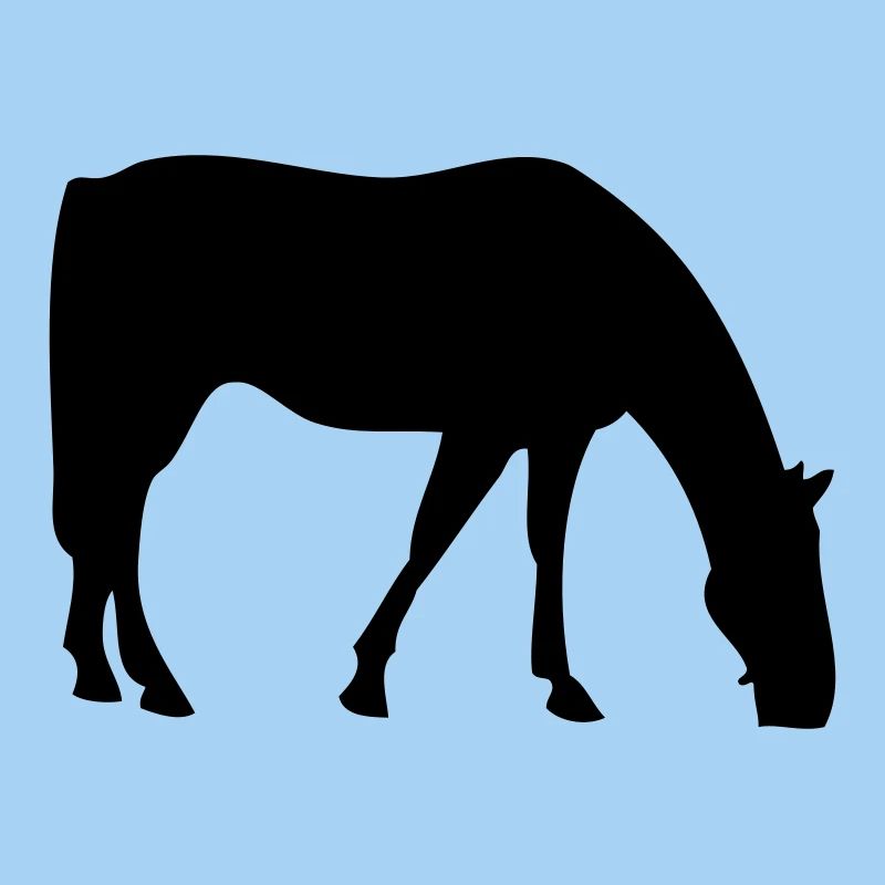 Pferd