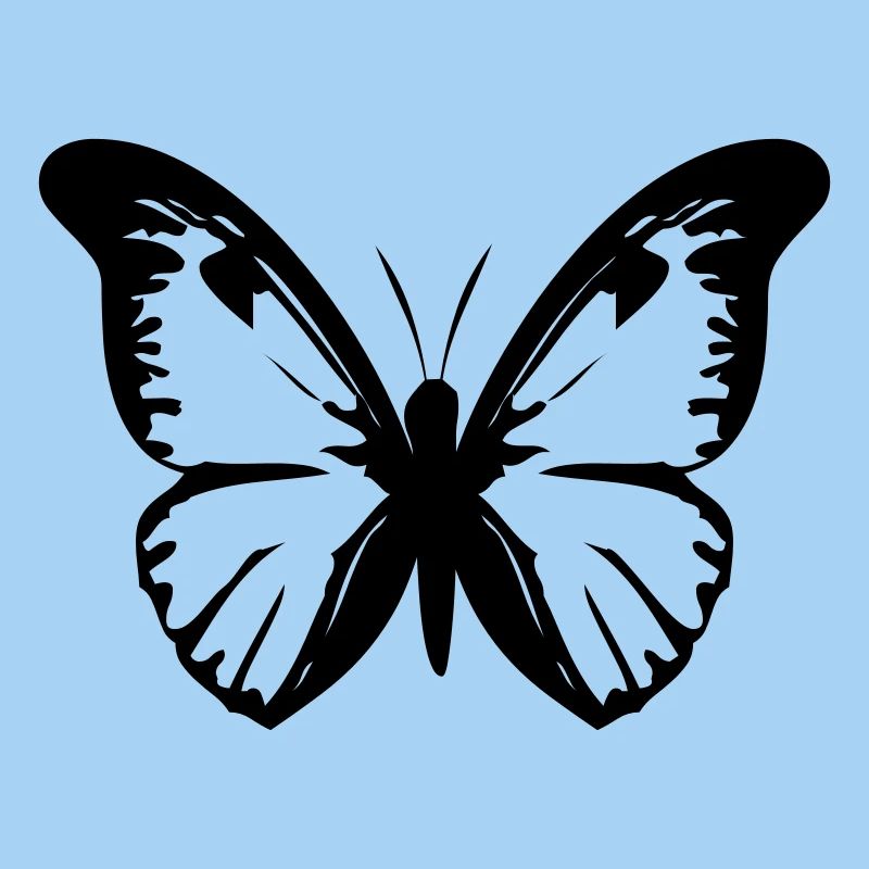 Schmetterling