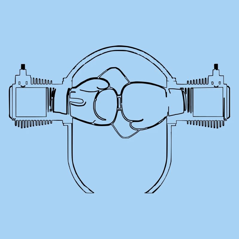 Boxer Motor
