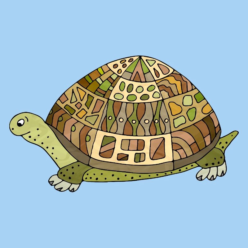 tortoise