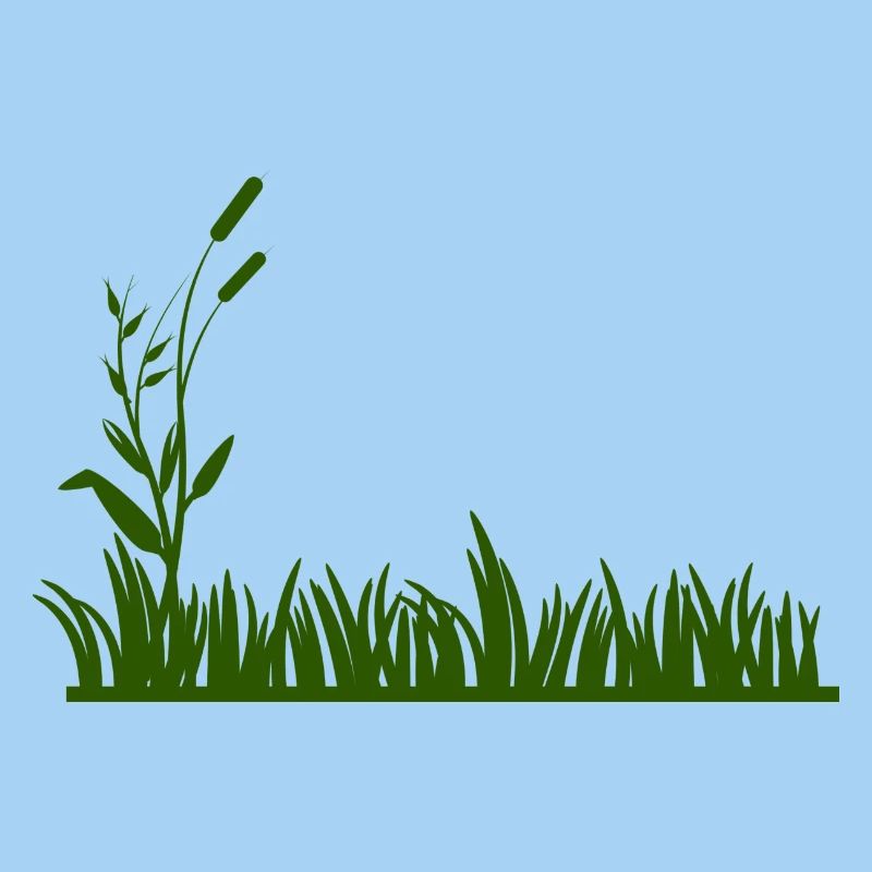 Grass