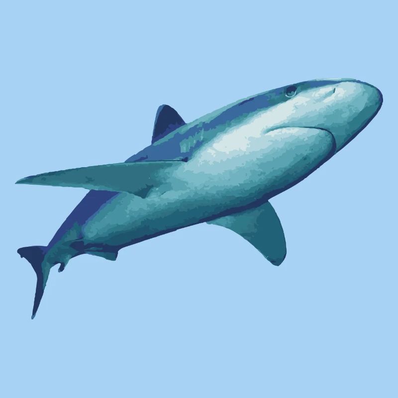 Requin