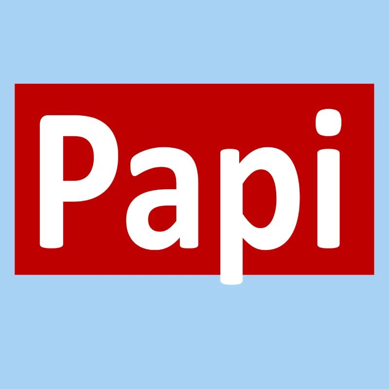 Papi gift idea