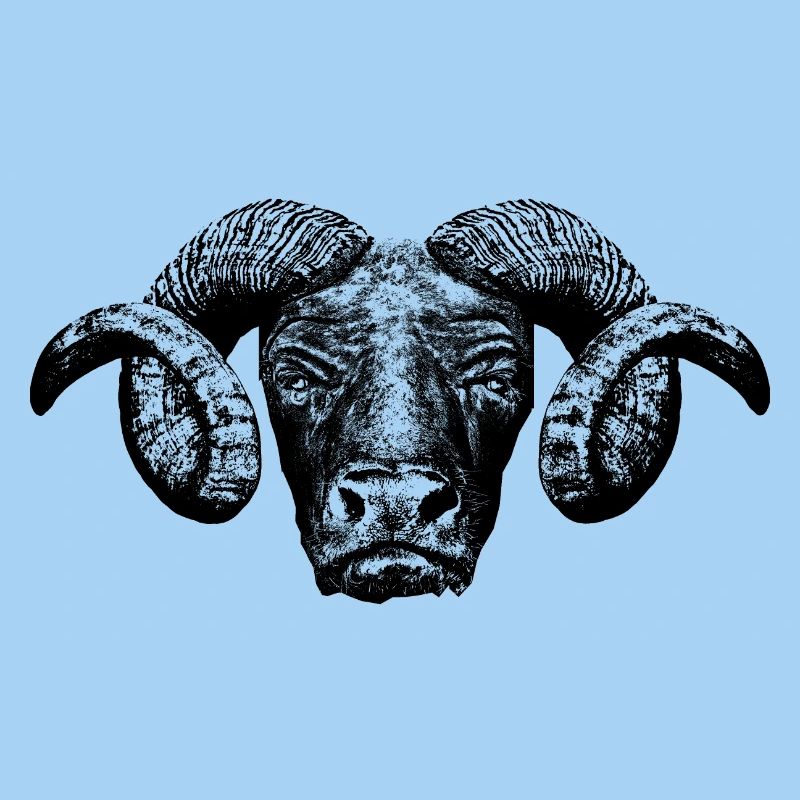 Minotaur / Head