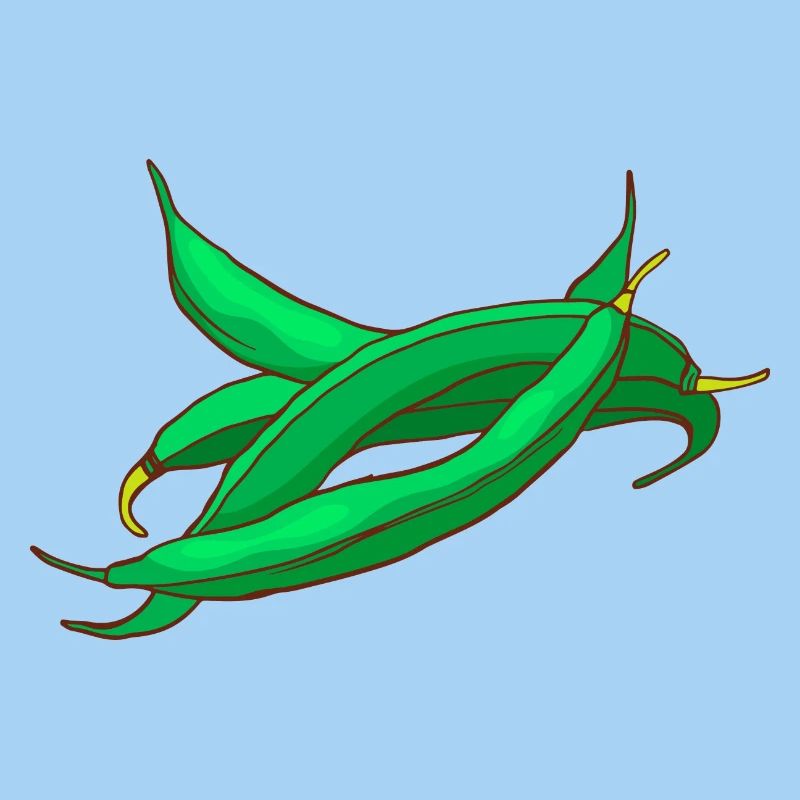Haricots cire haricots haricots