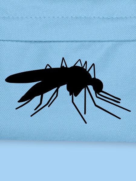 Mosquito