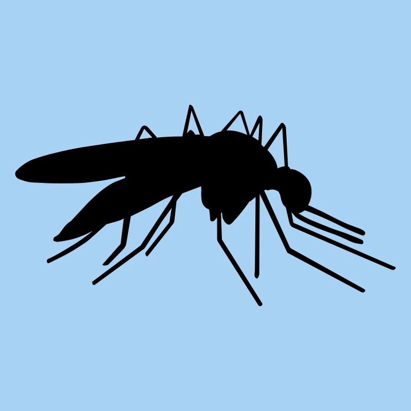 Mosquito