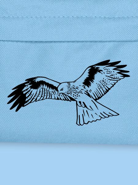 Falke im Flug