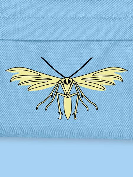 Feather moth