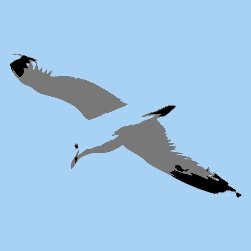 Seagull