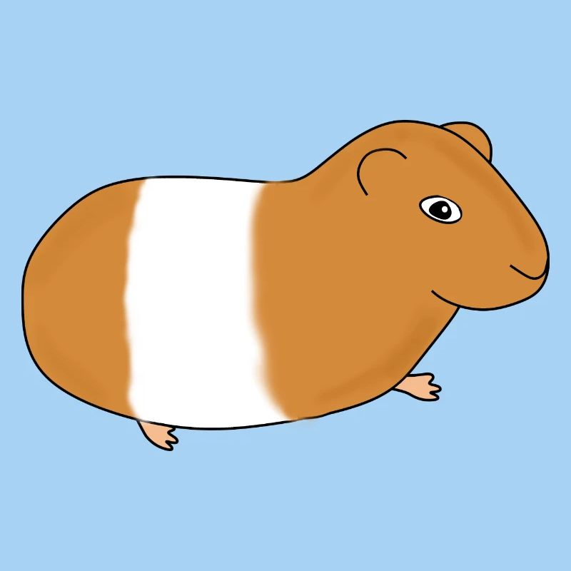 Guinea pig