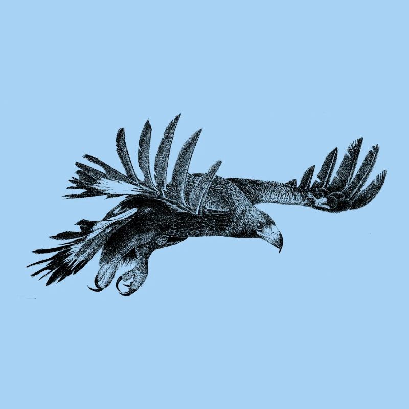 L’Aigle