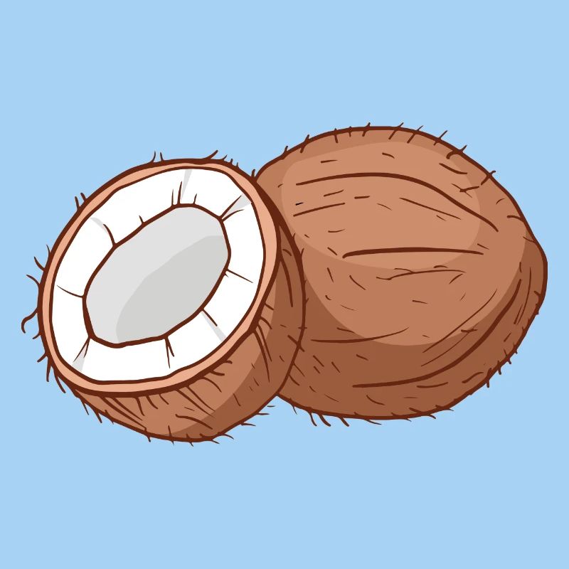 Coconut palm coconut palm coconut coconut nut