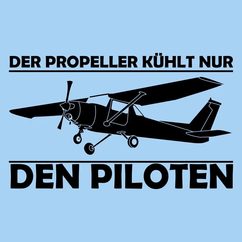 Cessna Motorflugzeug Geschenk