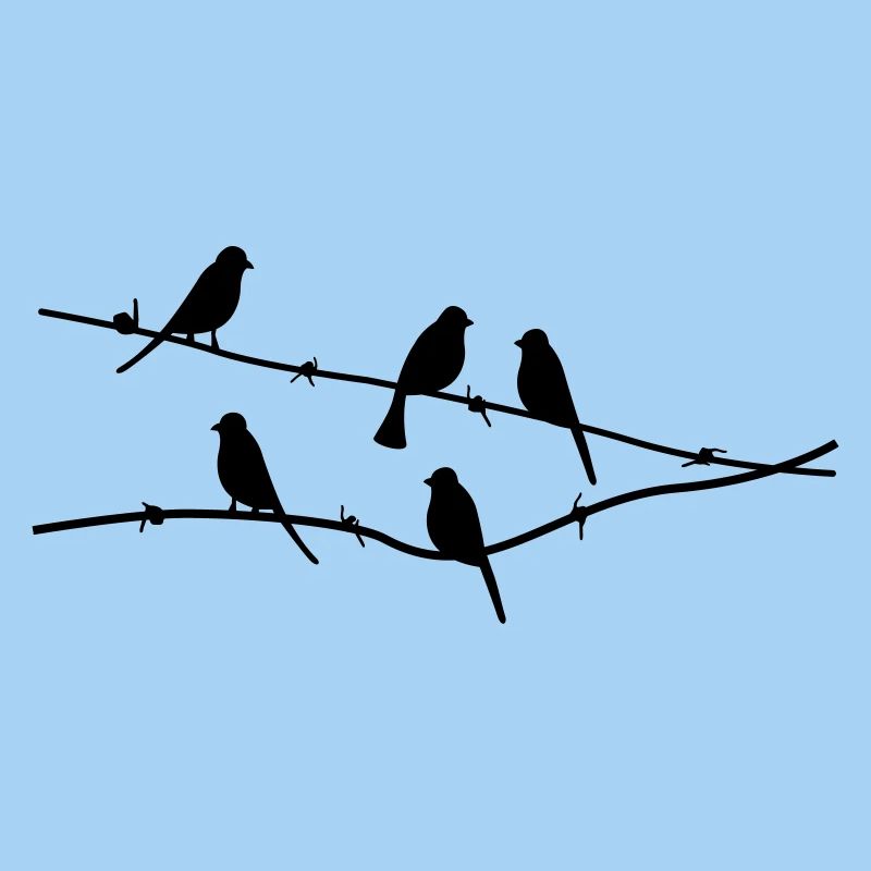 oiseaux