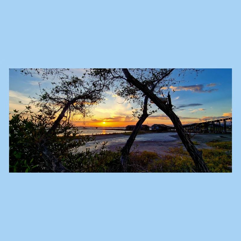 Sunset over the wilderness
