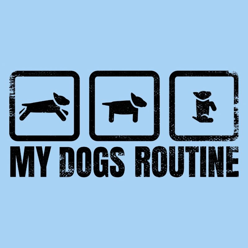 Routine canine