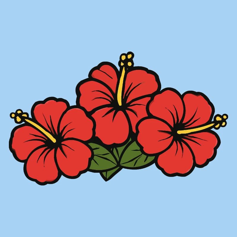 Fleurs d’hibiscus