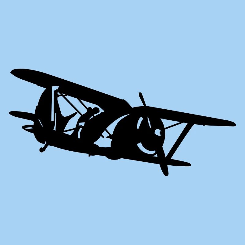 Biplane i-153