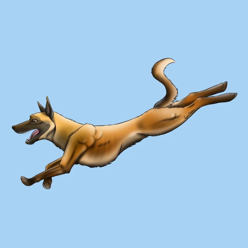 Belgian Shepherd Malinois