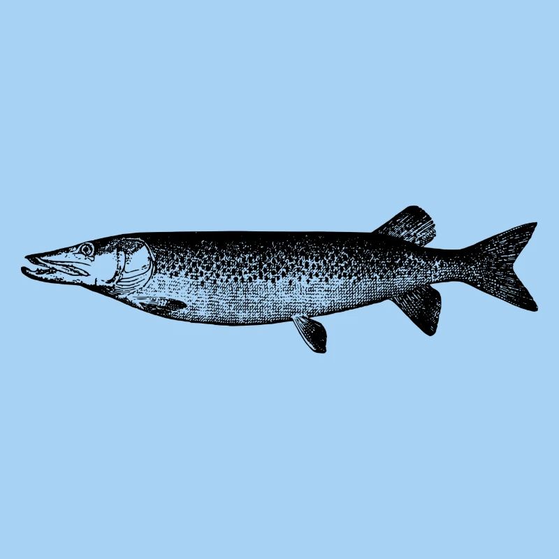 fish111