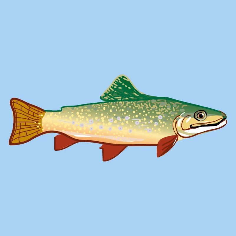 fish524