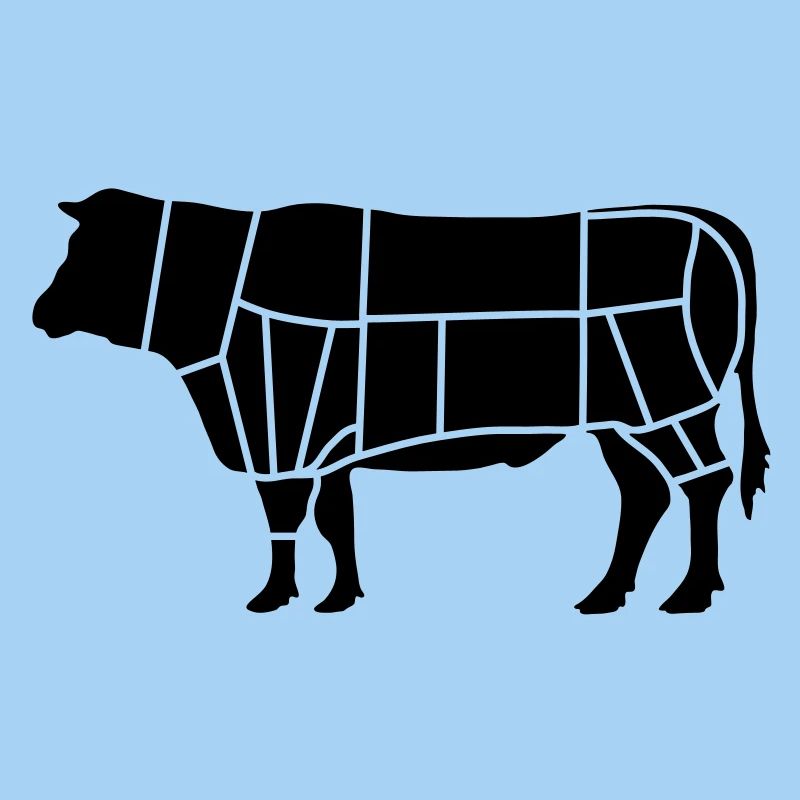 fleisch fleischer_b1