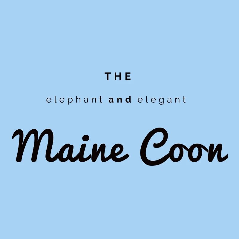 Der Elefant und elegante Main Coon