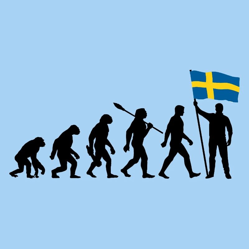 Sweden - Evolution - Flag - Nation