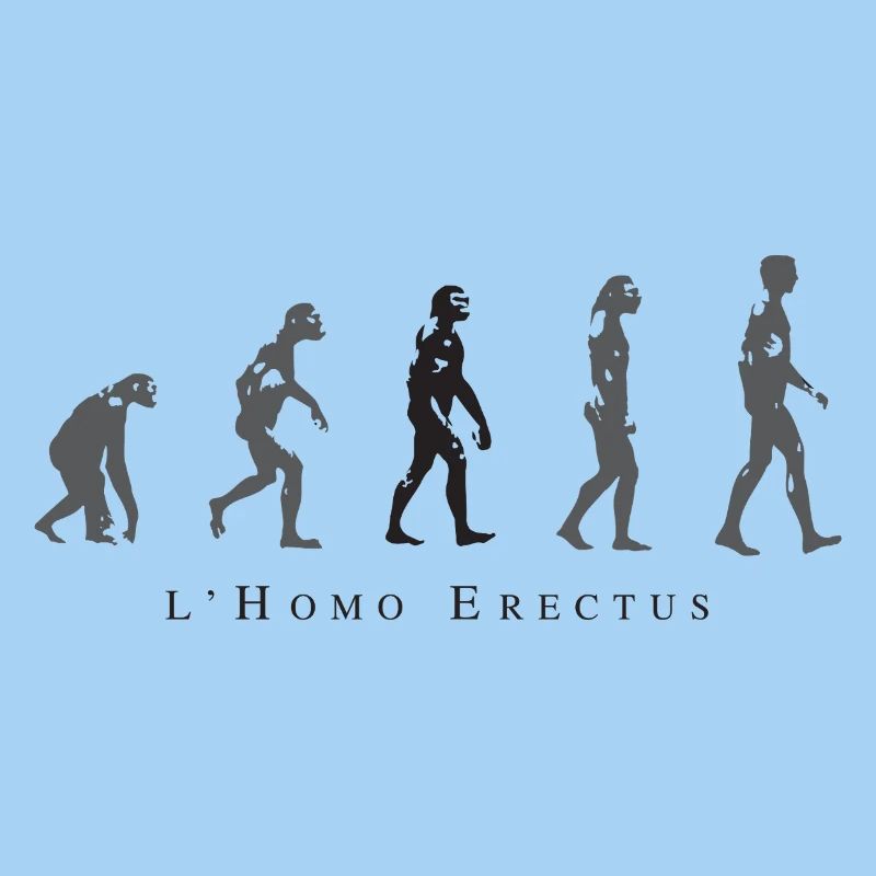 Evolution der menschlichen Haltung