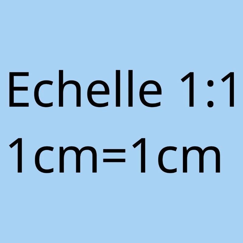 Architect, interior designer, project manager