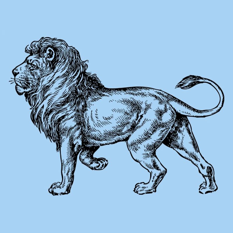 Big noir de lion et withe