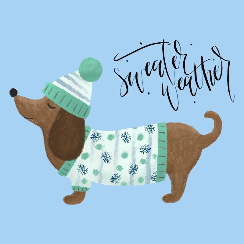 Dackel mit Pullover und Mütze - Sweater Weather