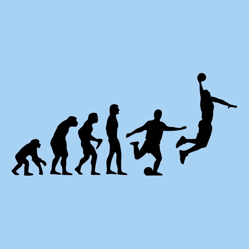 Basket-ball Evolution Basketball Basket