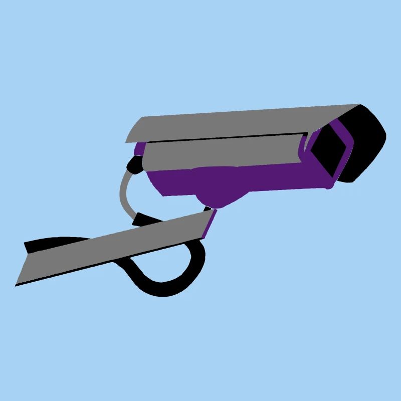Security camera