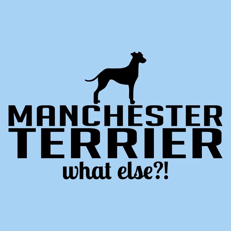 MANCHESTER TERRIER what else