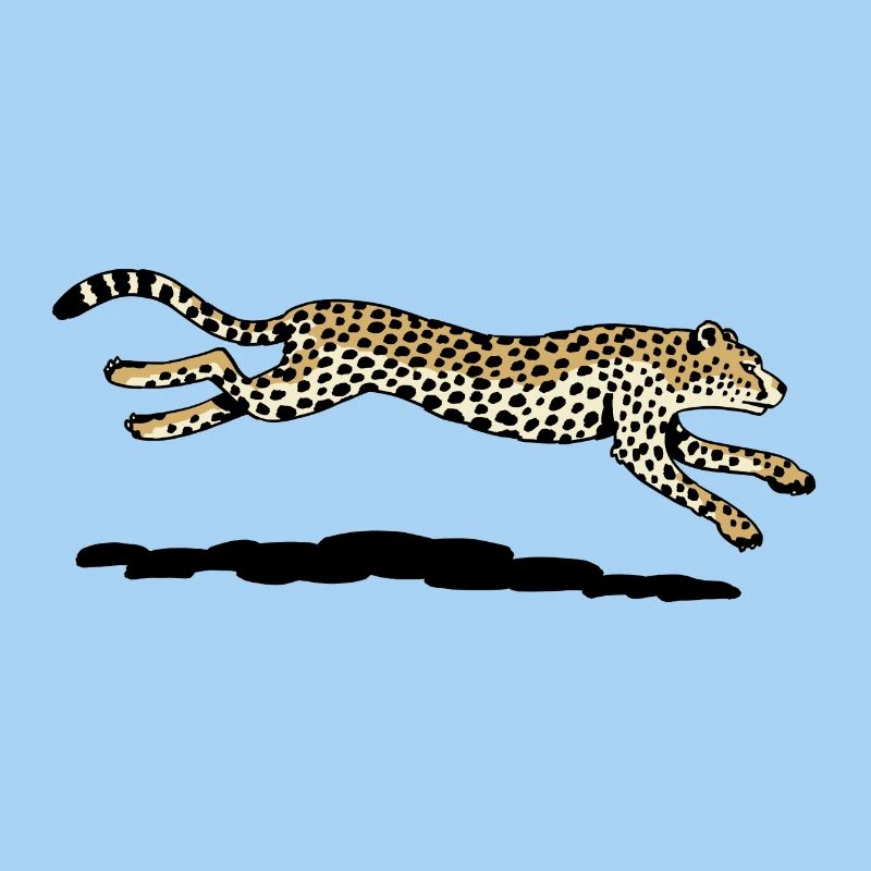 Cheetah