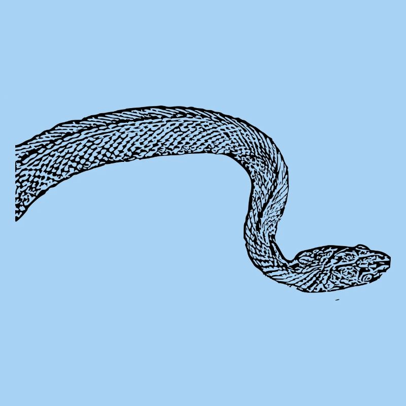 Serpents Serpents