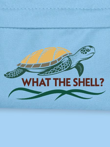 What the Shell?