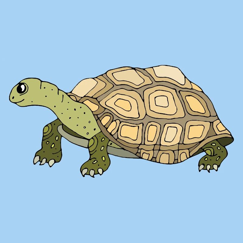 Schildkröte