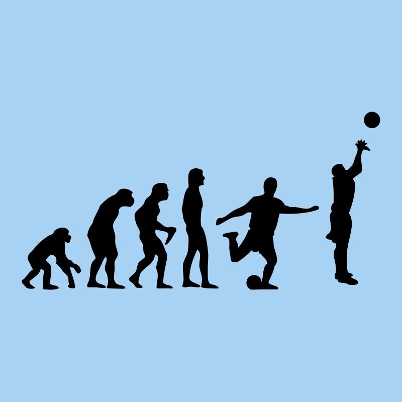 Basket-ball Evolution Basketball Basket