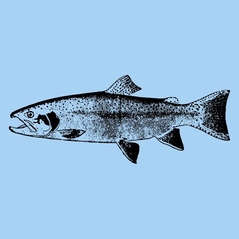 fish131