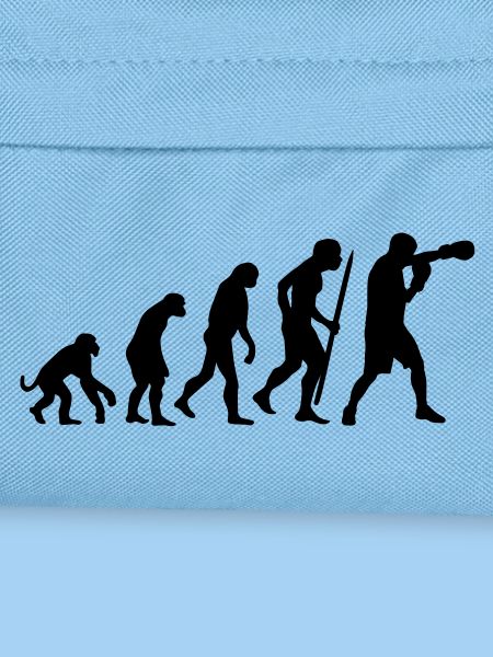 Evolution of Boxing