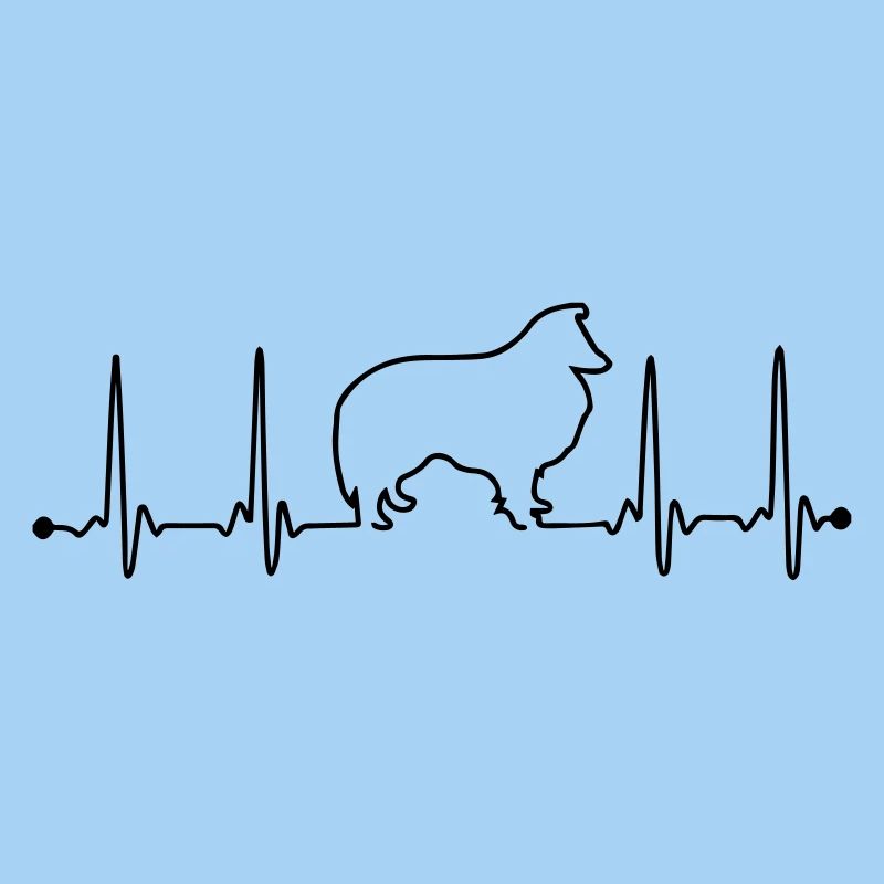 Sheltie Herzfrequenz