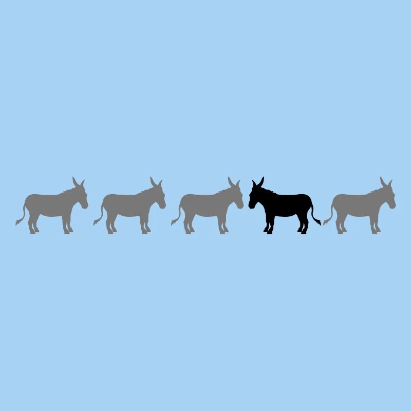 different bees horse pony small packelsel