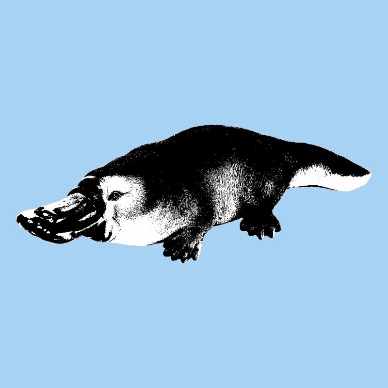 Ornithorynque