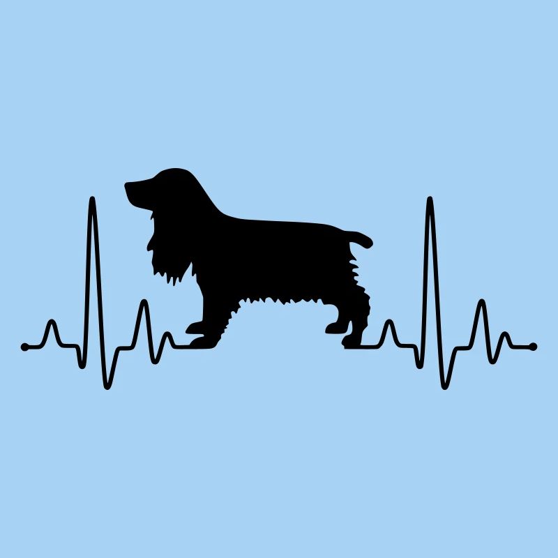 Cocker Spaniel Plus