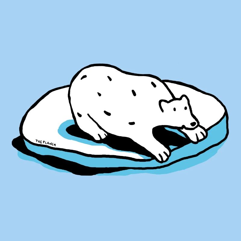 Der Eisbär