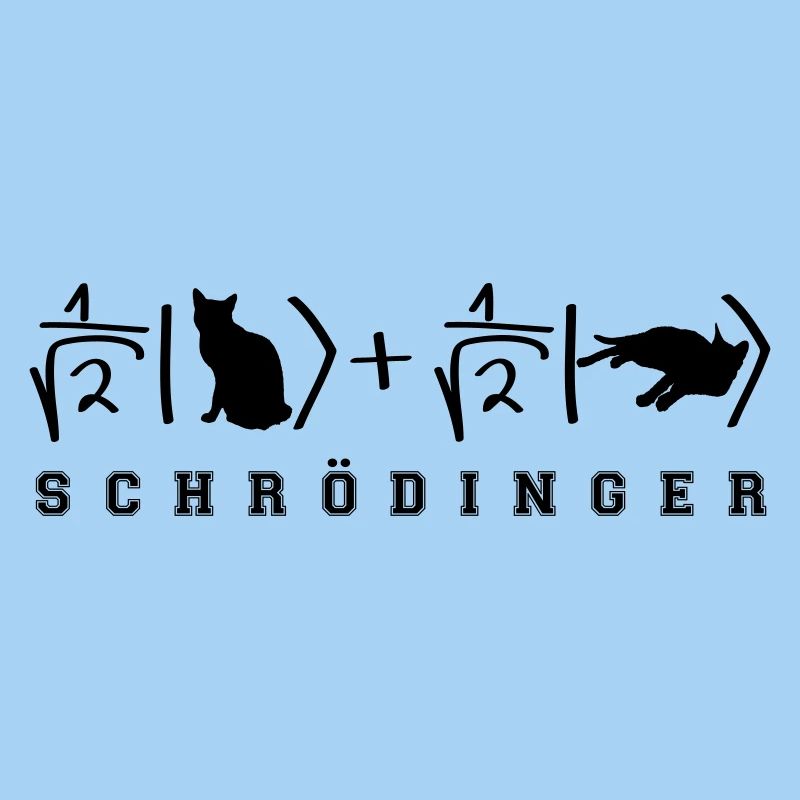 Chat de Schrödinger